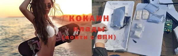 кокс Дмитриев