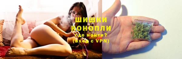 кокс Дмитриев