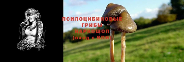 кокс Дмитриев